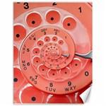 Apircot Orange Vintage Retro Rotary Dial Spiral Droste  Canvas 18  x 24 