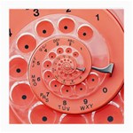 Apircot Orange Vintage Retro Rotary Dial Spiral Droste  Medium Glasses Cloth