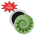 Fractal Lace Green Spiral Fractal 1.75  Magnet (10 pack) 