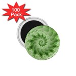 Fractal Lace Green Spiral Fractal 1.75  Magnet (100 pack) 