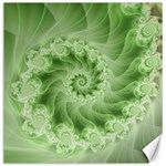 Fractal Lace Green Spiral Fractal Canvas 12  x 12 