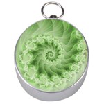 Fractal Lace Green Spiral Fractal Silver Compass