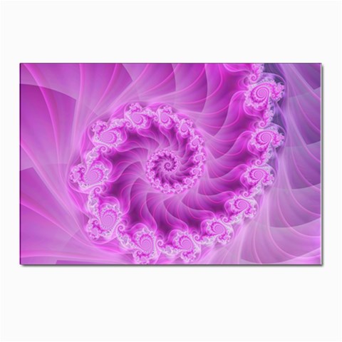 Silky Pink Spiral Fractal  Postcard 4 x 6  (Pkg of 10) from ArtsNow.com Front