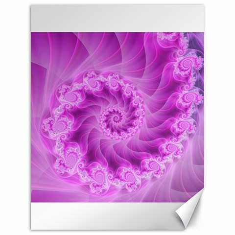 Silky Pink Spiral Fractal  Canvas 12  x 16  from ArtsNow.com 11.86 x15.41  Canvas - 1