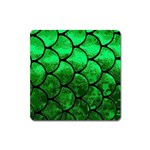 Fish Scales Magnet (Square)