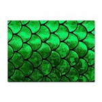 Fish Scales Sticker A4 (10 pack)