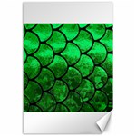 Fish Scales Canvas 12  x 18 