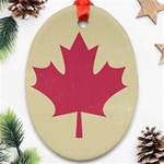 grunge canadian flag  Ornament (Oval)