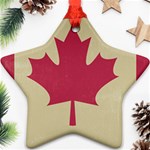 grunge canadian flag  Ornament (Star)