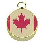 grunge canadian flag  Gold Compass