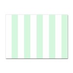 Vertical Stripes - White and Pastel Green Sticker A4 (10 pack)