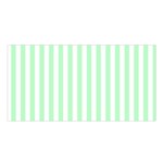 Vertical Stripes - White and Mint Green Satin Shawl