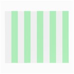 Vertical Stripes - White and Mint Green Small Glasses Cloth