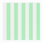 Vertical Stripes - White and Mint Green Medium Glasses Cloth