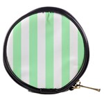 Vertical Stripes - White and Mint Green Mini Makeup Bag