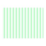 Vertical Stripes - White and Mint Green Double Sided Flano Blanket (Mini)