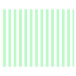 Vertical Stripes - White and Mint Green Double Sided Flano Blanket (Medium)