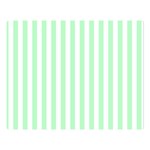 Vertical Stripes - White and Mint Green Double Sided Flano Blanket (Large)