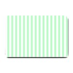 Vertical Stripes - White and Mint Green Small Doormat