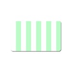 Vertical Stripes - White and Mint Green Magnet (Name Card)