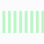 Vertical Stripes - White and Mint Green 4  x 8  Photo Cards