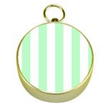 Vertical Stripes - White and Mint Green Gold Compass