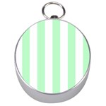 Vertical Stripes - White and Mint Green Silver Compass