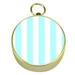 Vertical Stripes - White and Celeste Cyan Gold Compass