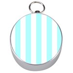 Vertical Stripes - White and Celeste Cyan Silver Compass