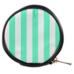 Vertical Stripes - White and Aquamarine Mini Makeup Bag