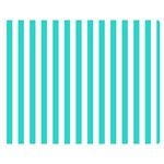 Vertical Stripes - White and Turquoise Double Sided Flano Blanket (Medium)