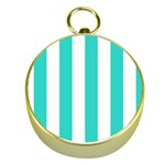 Vertical Stripes - White and Turquoise Gold Compass