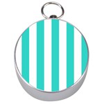 Vertical Stripes - White and Turquoise Silver Compass