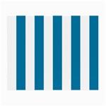 Vertical Stripes - White and Cerulean Small Glasses Cloth