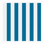 Vertical Stripes - White and Cerulean Medium Glasses Cloth