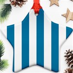 Vertical Stripes - White and Cerulean Ornament (Star)