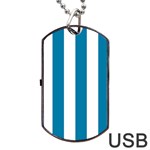 Vertical Stripes - White and Cerulean Dog Tag USB Flash (One Side)