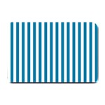 Vertical Stripes - White and Cerulean Small Doormat