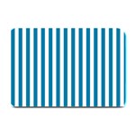 Vertical Stripes - White and Cerulean Plate Mat