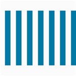 Vertical Stripes - White and Cerulean 5  x 7  Photo Cards