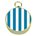 Vertical Stripes - White and Cerulean Gold Compass