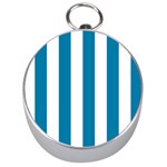 Vertical Stripes - White and Cerulean Silver Compass