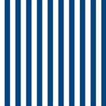 Vertical Stripes - White and Dark Cerulean ScrapBook Page 12  x 12 