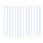 Vertical Stripes - White and Pastel Blue Double Sided Flano Blanket (Large)