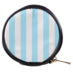 Vertical Stripes - White and Light Blue Mini Makeup Bag