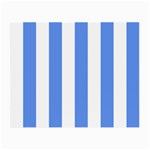 Vertical Stripes - White and Cornflower Blue Small Glasses Cloth