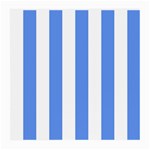 Vertical Stripes - White and Cornflower Blue Medium Glasses Cloth