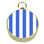 Vertical Stripes - White and Royal Blue Gold Compass