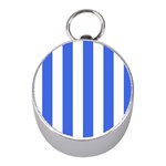 Vertical Stripes - White and Royal Blue Silver Compass (Mini)