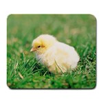 Eesign0227 Rec Mousepad